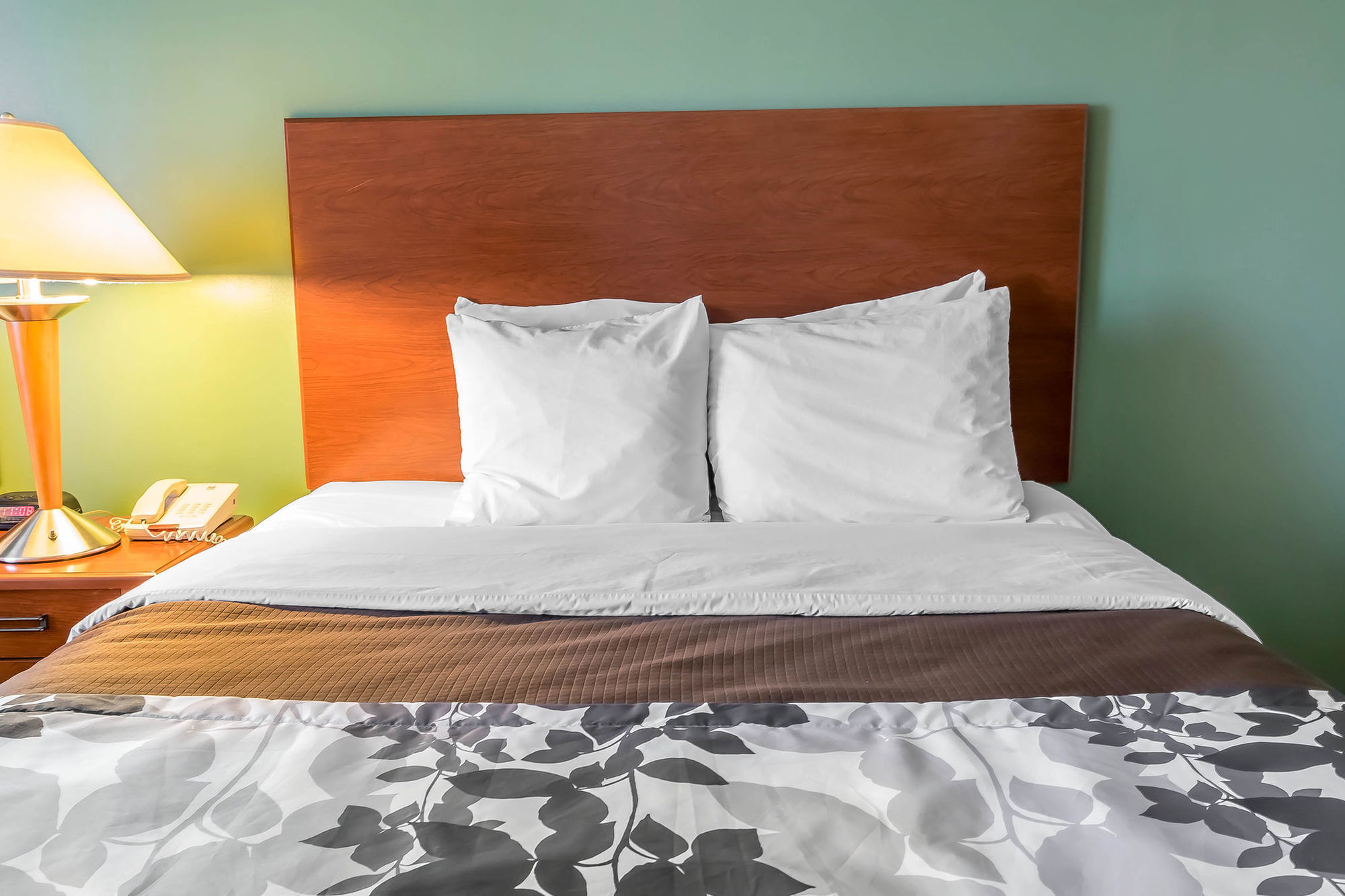 Spark By Hilton Shepherdsville Louisville South Room photo