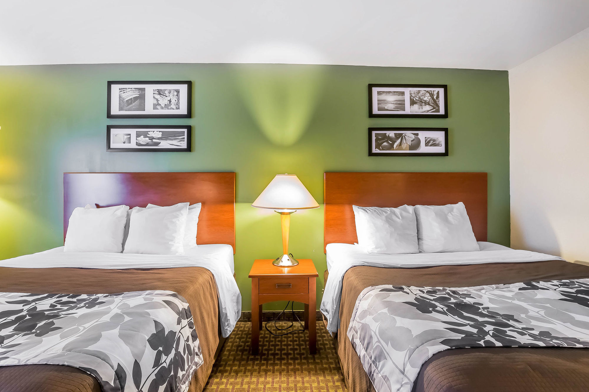 Spark By Hilton Shepherdsville Louisville South Room photo